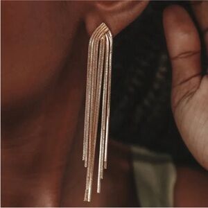 Nee! Lulus Gold Fringe Drop Earrings (1006) NWOT